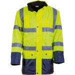 4661 Apollo žute boje