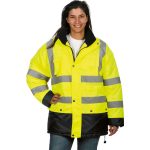 4661 Apollo žute boje